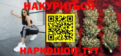 ALPHA PVP Пугачёв