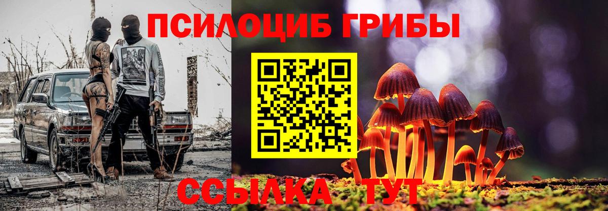 Псилоцибиновые грибы мухоморы Рубцовск