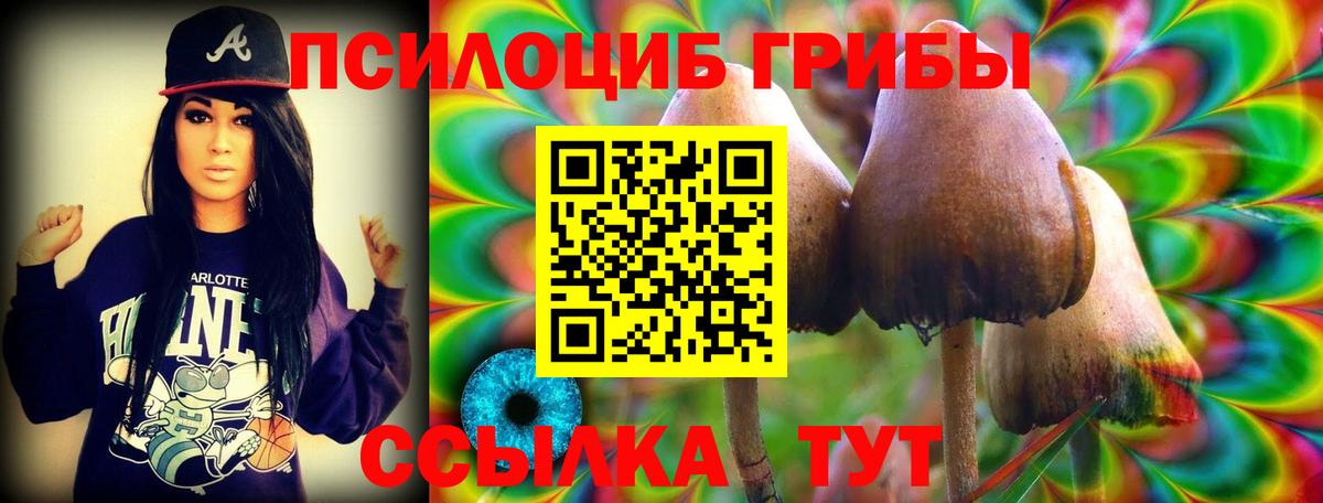 Рубцовск  Псилоцибиновые грибы MAGIC MUSHROOMS  Вход с VPN 